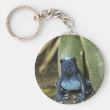 Blauer Gift-Pfeil-Frosch Schlüsselbänder