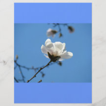 Blauer Himmel-kundenspezifische Flyerpapier Frühli