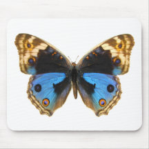 Blauer Pansy-Schmetterling Mauspad