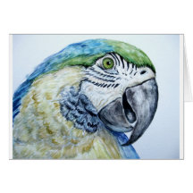 blauer Papagei Macaw Karte