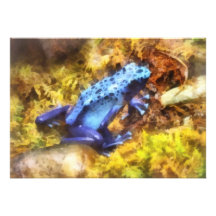 Blauer Pfeil-Frosch Ankündigungskarten