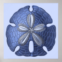 Blauer Sand-Dollar-Plakat-Druck