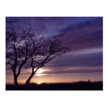 Blauer Sonnenuntergang Postkarten