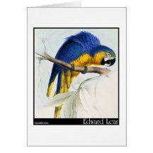 Blauer und gelber Macaw Karten
