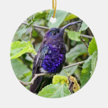 Blaues Kolibri-Foto Weihnachtsornament