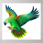 Blaues konfrontiertes Amazonas-Papageien-Plakat
