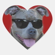 Blaues pitbull mit Gläsern Sticker