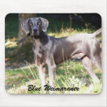 Blaues Weimaraner Mauspads