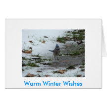 Blauhäher u. Kardinal, warme Winter-Wünsche Grußkarten