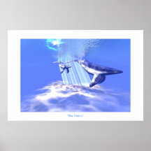 BLAUWAL-DRUCK PLAKATDRUCK
