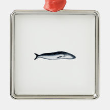 Blauwal-Illustration Weinachtsornamente