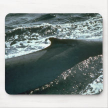 Blauwal, Rückenflosse Mousepads