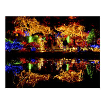 Blendungs-Lichter - Ufer-Morgen-Staats-Park Oregon Postkarten