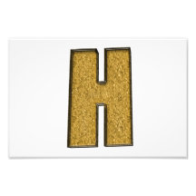 Bling Gold H Photo Print
