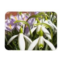 Bloomin Frühlings-Magnet