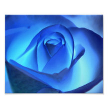 Blue Neon Rose Photograph