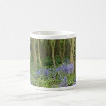 Bluebell-Holz - Bluebells in einer Waldeinstellung tassen