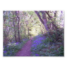 Bluebell-Holz Fotodruck