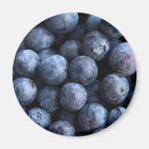 Blueberrry köstlich magnets