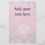 Blühender Gerbera-Flyer