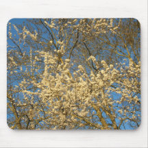 Blühender Kirschbaum Mousepad - besonders angefert