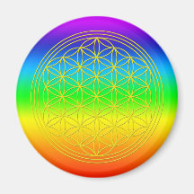 Blume des Lebens chakra 2 Kühlschrankmagnete