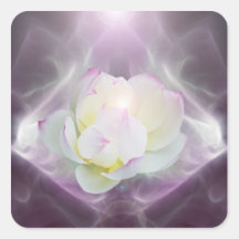 Blume des weißen Lotos Quadrataufkleber