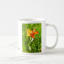 Blume! Kaffee Tassen
