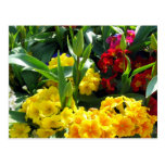Blume Medly Postkarte