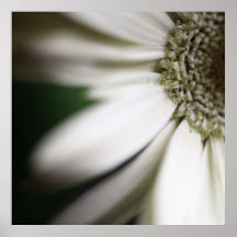 Blume Plakatdruck