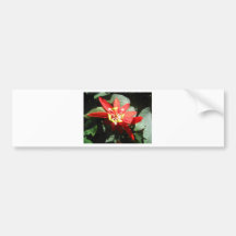 Blume, rote Leidenschafts-Blume Auto Sticker