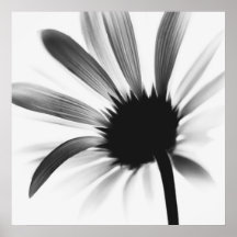 Blume SW Posters