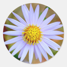 Blumen-Aufkleber