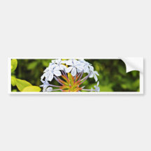 BLUMEN AUTO STICKER