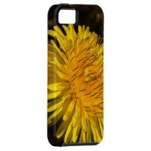 Blumen-Blüte iPhone 5 Cover