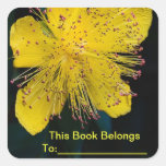Blumen-Buch-Aufkleber