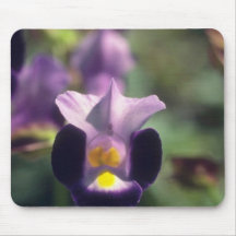 Blumen der Wishbone-Blume (Torenia Fournieri) Mauspads