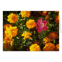 Blumen für Anbetung Karten