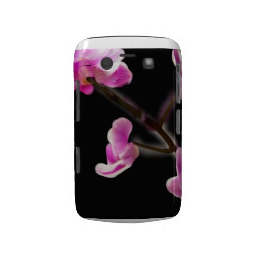 Blumen Blackberry Bold Hüllen