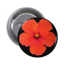 Blumen-Hibiskus Anstecknadel