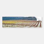 Blumen im Weinberg, Alexander-Tal, Kalifornien, Auto Sticker