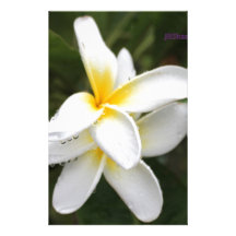 Blumen Individuelle Druckpapiere