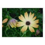 Blumen Karte