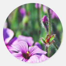 Blumen-Knospen-Blumenblätter Runde Aufkleber