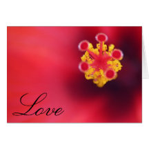 Blumen-Liebe-Karte