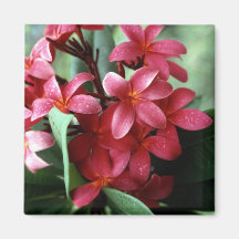 Blumen-Magnet