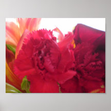 Blumen Posterdruck