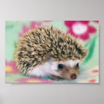 Blumen-Power-Igels-Plakat