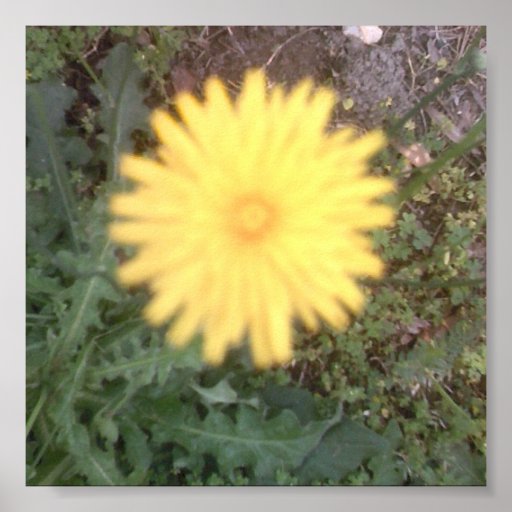 Blumen-Power Plakat