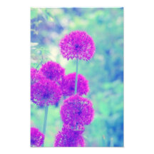 Blumen Welt Kunstfoto